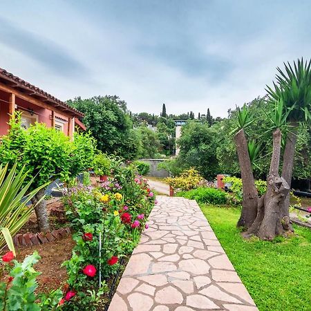 Bozikis Studios Paleokastritsa Dış mekan fotoğraf